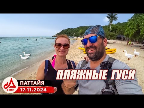 Видео: Остров Ко Лан. Паттайя 🔴 Таиланд LIVE