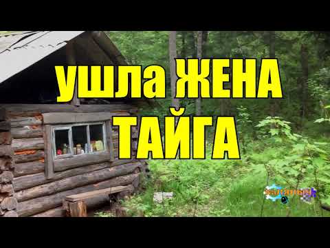 Видео: УШЛА ЖЕНА от ОХОТНИКА | ТАЙГА