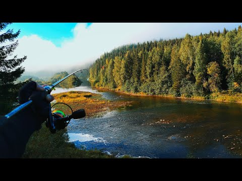 Видео: Со спиннингом по красивой горной реке