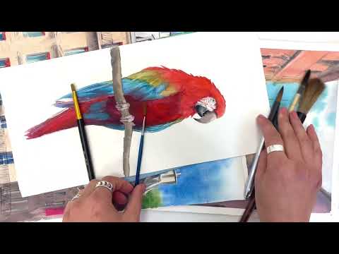 Видео: Какие кисти для акварели купить? 5 главных акварельных кисточек. Обзор Арт материалов акварель