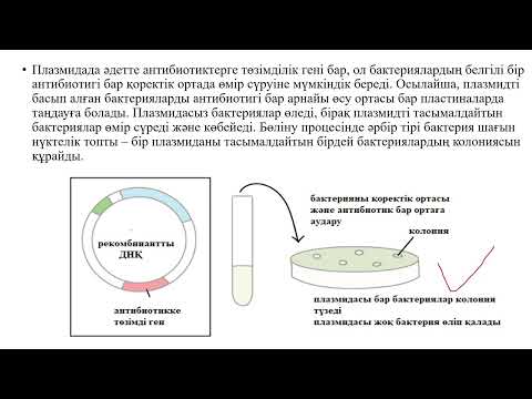 Видео: 11_класс_3_токсан_Рекомбинантты ДНҚ - ды алу әдістері