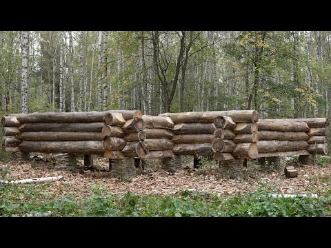 Видео: Огромный деревенский бревенчатый дом, построенный топором, стены возводятся до зимы.