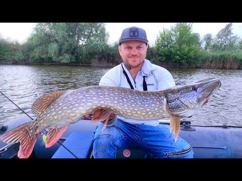Видео: Ловля щуки в жару. Мокра Мася ЛОВИТЬ коли все МОВЧИТЬ!