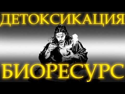 Видео: ДЕТОКС ПРОГРАММА | АРСЕН МАРКАРЯН