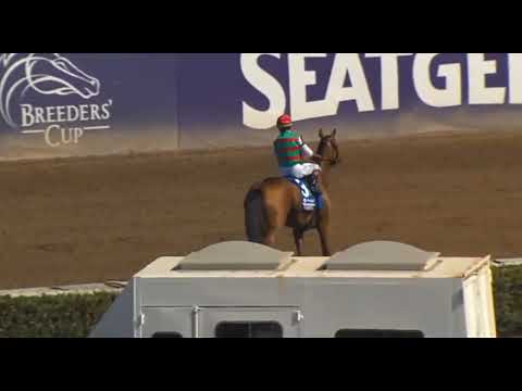 Видео: R4 DEL MAR (01 НОЯБРЯ 2025)