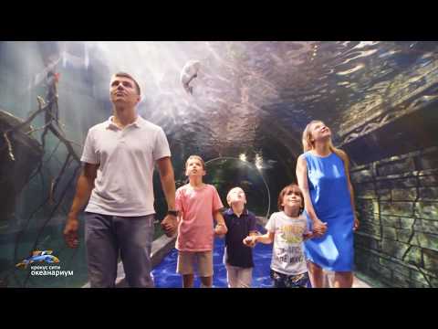 Видео: Крокус Сити Океанариум || О нас