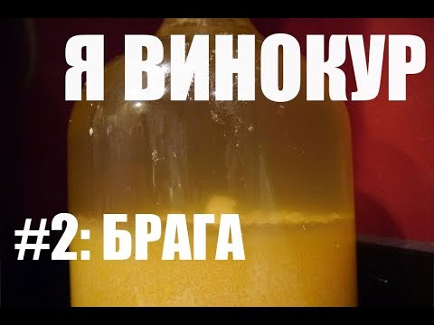 Видео: Я винокур. #2: Брага. Что к чему и почему.
