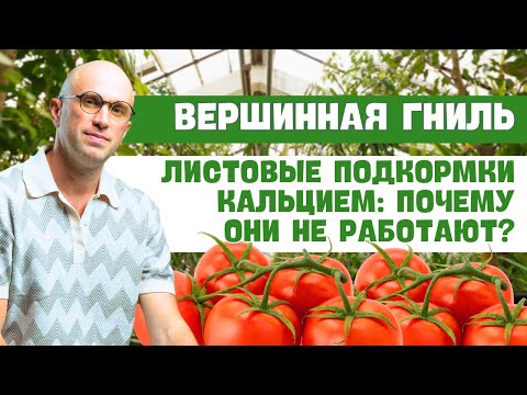 Видео: Вершинная гниль. Листовые Подкормки Кальцием: Почему Они Не Работают?