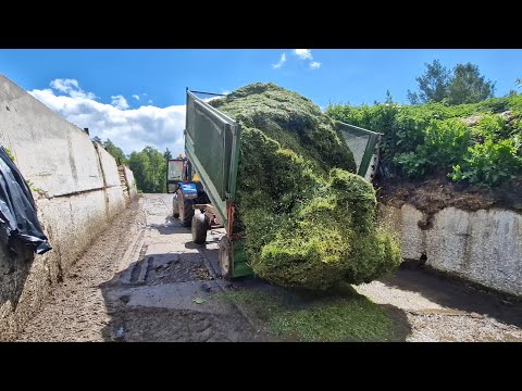 Видео: "НАБИРАЕМ ОБОРОТЫ" в кормозаготовке КРС / Бригаду - НЕ ОСТАНОВИТЬ! За Русь!