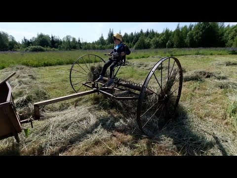 Видео: Мотоблок МТЗ и конные грабли.