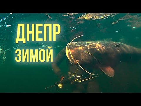 Видео: Подводная охота на Днепре (Spearfishing on the Dnieper)