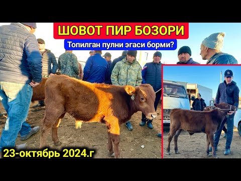 Видео: ХОРАЗМ ШОВОТ МОЛ БОЗОРИ ЁШ ХЎКИЗЛАР ЗЎРЛАРИ  23-октября 2024 г.