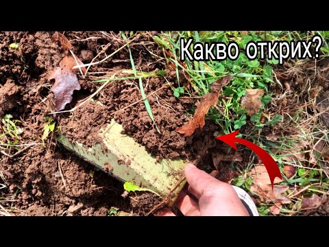 Видео: ТЪРСИХ В ИЗОСТАВЕНО СЕЛИЩЕ С МЕТАЛОТЪРСАЧА КАКВО ОТКРИХ?