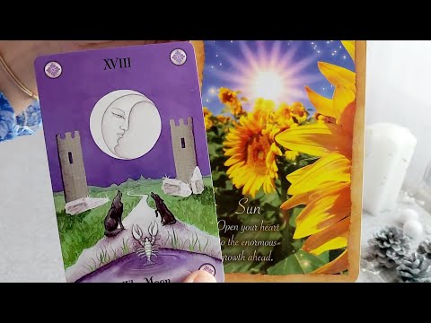 Видео: 🥰💛🌻Вашите любовни отношения - развитие през следващите 6 месеца?🌻💛🥰