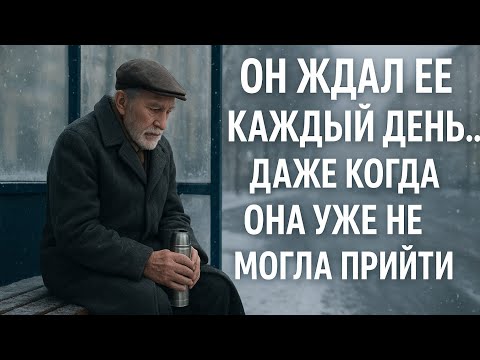 Видео: «Он ждал её каждый день… даже когда она уже не могла прийти»