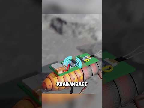 Видео: Именно таракан может спасти вам жизнь