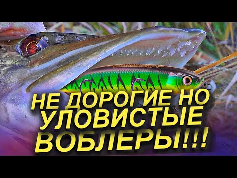 Видео: ТОП НЕДОРОГИХ ВОБЛЕРОВ НА ЩУКУ СУДАКА И ОКУНЯ 2024-2025! ЛУЧШИЕ ВОБЛЕРЫ НА ЩУКУ! РЫБАЛКА НА СПИННИНГ