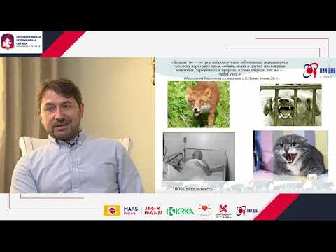 Видео: 6. Бешенство плотоядных животных.