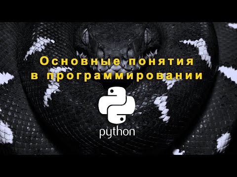 Видео: Программируем в Pyton. Урок 1. Основные понятия в программировании