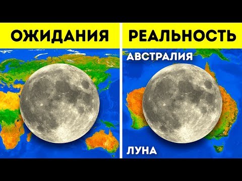 Видео: 51 факт, который доказывает, что наш мир — довольно странное место