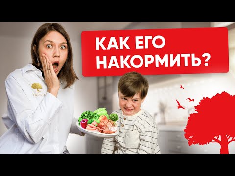 Видео: Если ребенок не ест мясо!? Простые шаги  - как добавить белок в рацион! #докторлиза #nikolife