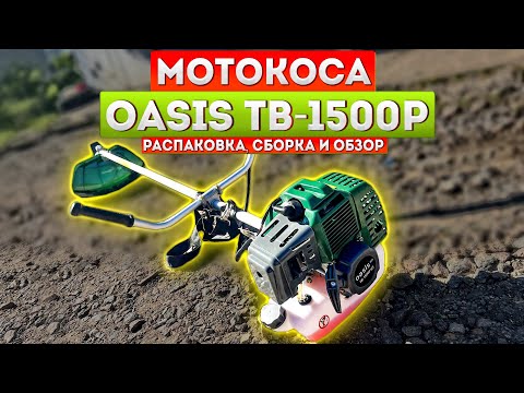 Видео: Мотокоса триммер Oasis TB-1500P. Распаковка сборка и обзор. Холостяцкая Дача