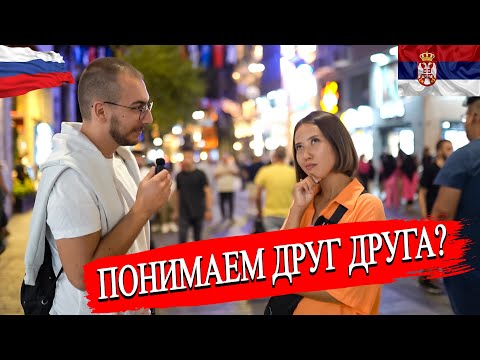 Видео: Понимают ли сербы русский язык? | Сходства между русским и сербским языками