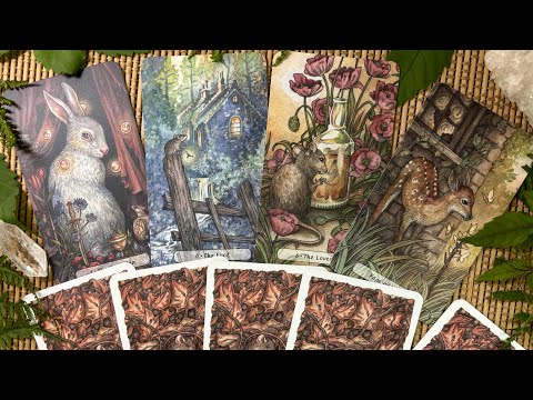 Видео: Долгожданная новинка😍🎉Распаковка и обзор колоды «Heartwood Tarot» 🌿🐀🌿 от студии  Three Trees Tarot.