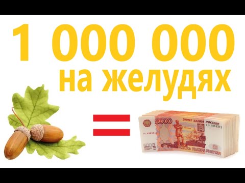 Видео: Бизнес с нуля. Желуди.