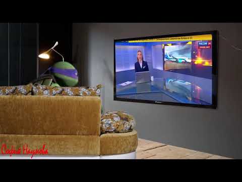 Видео: Лео и Эльза