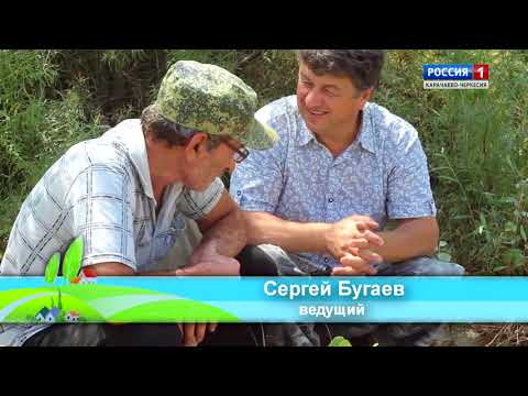 Видео: "Охота на рыбалку. За усачами в верховья Кубани. Часть 2"