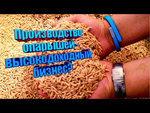 Видео: Производство опарышей - высокодоходный бизнес?