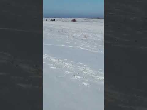 Видео: Кепер-арык айылы Шеринэ 20.02.22 Аламан Темен-суу айылына буйруду билегиңерге күч