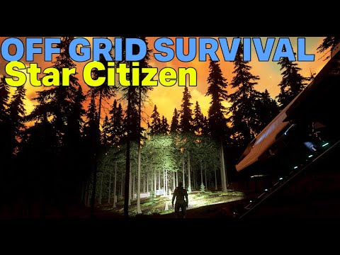 Видео: Жизнь вне сети в Star Citizen (часть 1)