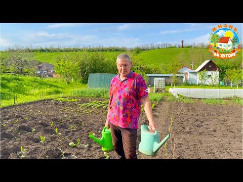 Видео: 🟢Решили проблему с полом! Полусухая стяжка за три часа! Не вылезаем с огорода.