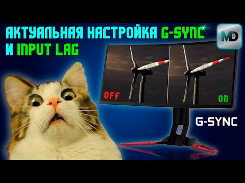 Видео: Настраиваем gsync и уменьшаем инпут лаг