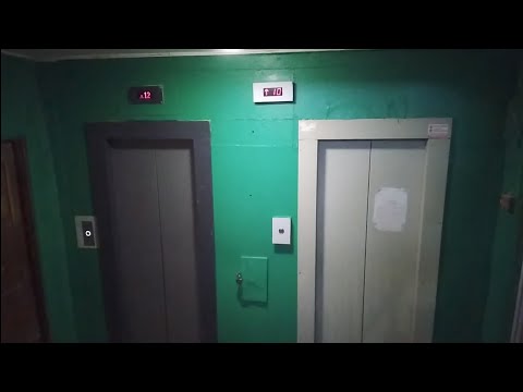 Видео: [Самый новый лифт в И209А] Лифты ЩЛЗ-2014,2024г.в. Город Тула. Улица Максима Горького, 21