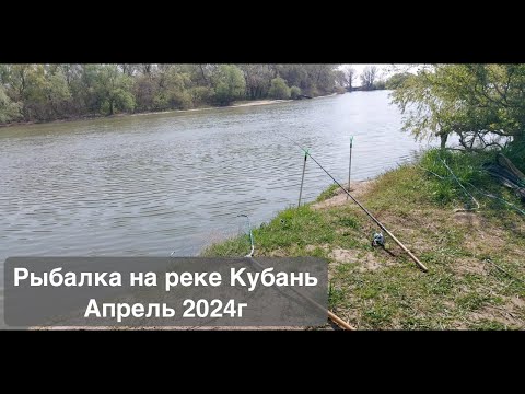 Видео: Рыбалка на реке Кубань / Немного поймали, но уехали с впечатлениями