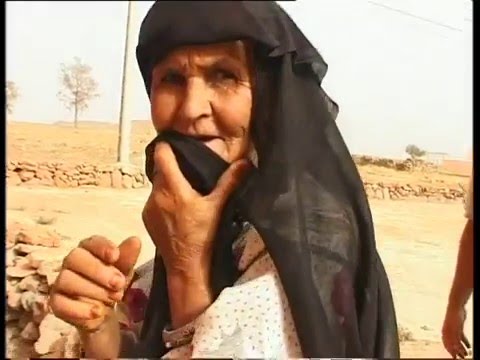 Видео: Большая прогулка. Телепередача. Выпуск 16