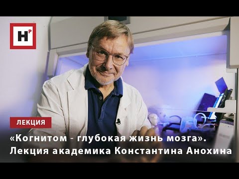 Видео: «КОГНИТОМ ― ГЛУБОКАЯ ЖИЗНЬ МОЗГА». ЛЕКЦИЯ АКАДЕМИКА КОНСТАНТИНА АНОХИНА