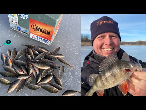 Видео: КАК КОРМИТЬ ОКУНЯ?! ЛОВИМ НА МОРМЫШКУ.