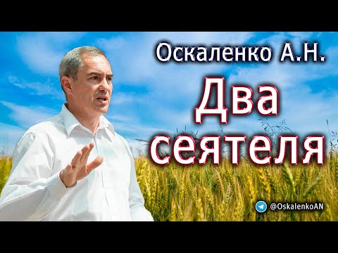 Видео: Оскаленко А.Н. 17.09.2023. Два сеятеля