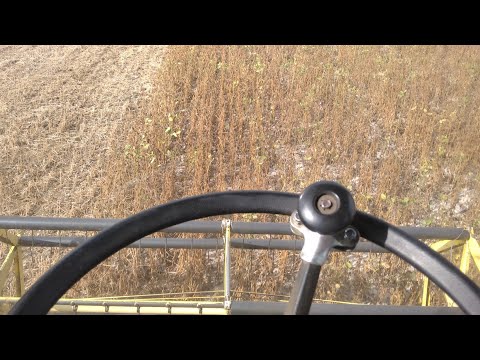 Видео: John Deere 952 молотим сою та гречку на калимах за 40км❌