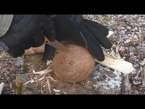 Видео: ЗЛОЙ КОКОС. Нож PATTE V2 Petrified Fish. Уличный тест