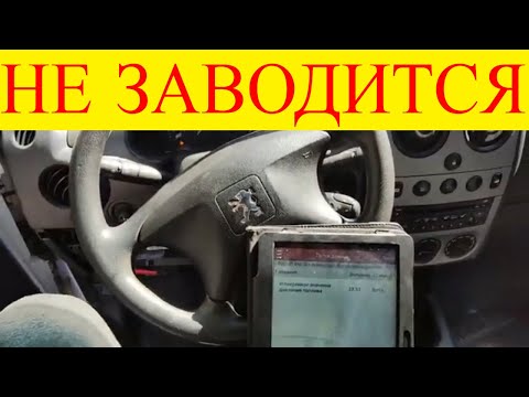 Видео: Peugeot Partner 1.6 HDi не заводится двигатель