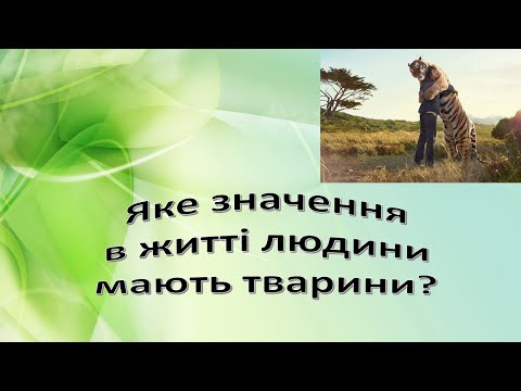 Видео: Урок 77: Яке значення в житті природи мають тварини? Я досліджую світ 3 клас