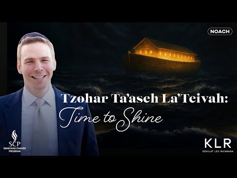 Видео: Паршат Ноах | Нажмите «Загрузить», чтобы сохранить «Цоар Таасе Ла-Тейва» mp3 youtube com.