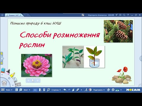 Видео: Пізнаємо природу 6 клас НУШ Способи розмноження рослин