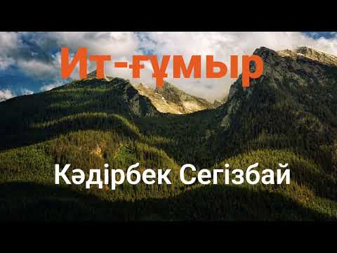 Видео: Кәдірбек Сегізбай.Ит-ғұмыр