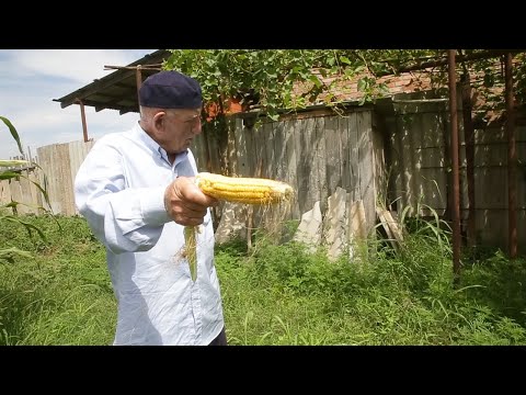 Видео: 88 шо долу МАКАЖО.